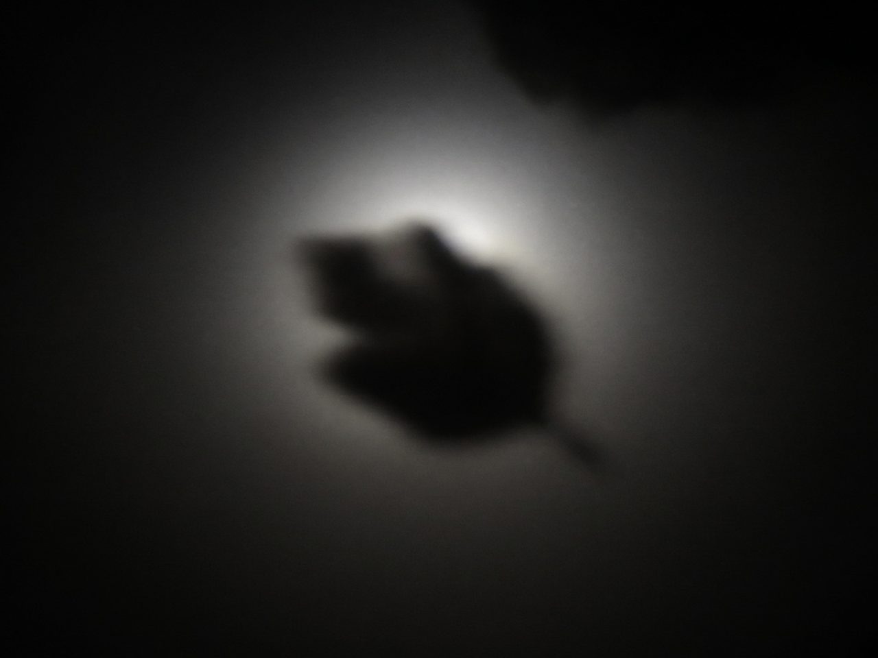 Not like that: blurred, or black against the sun.