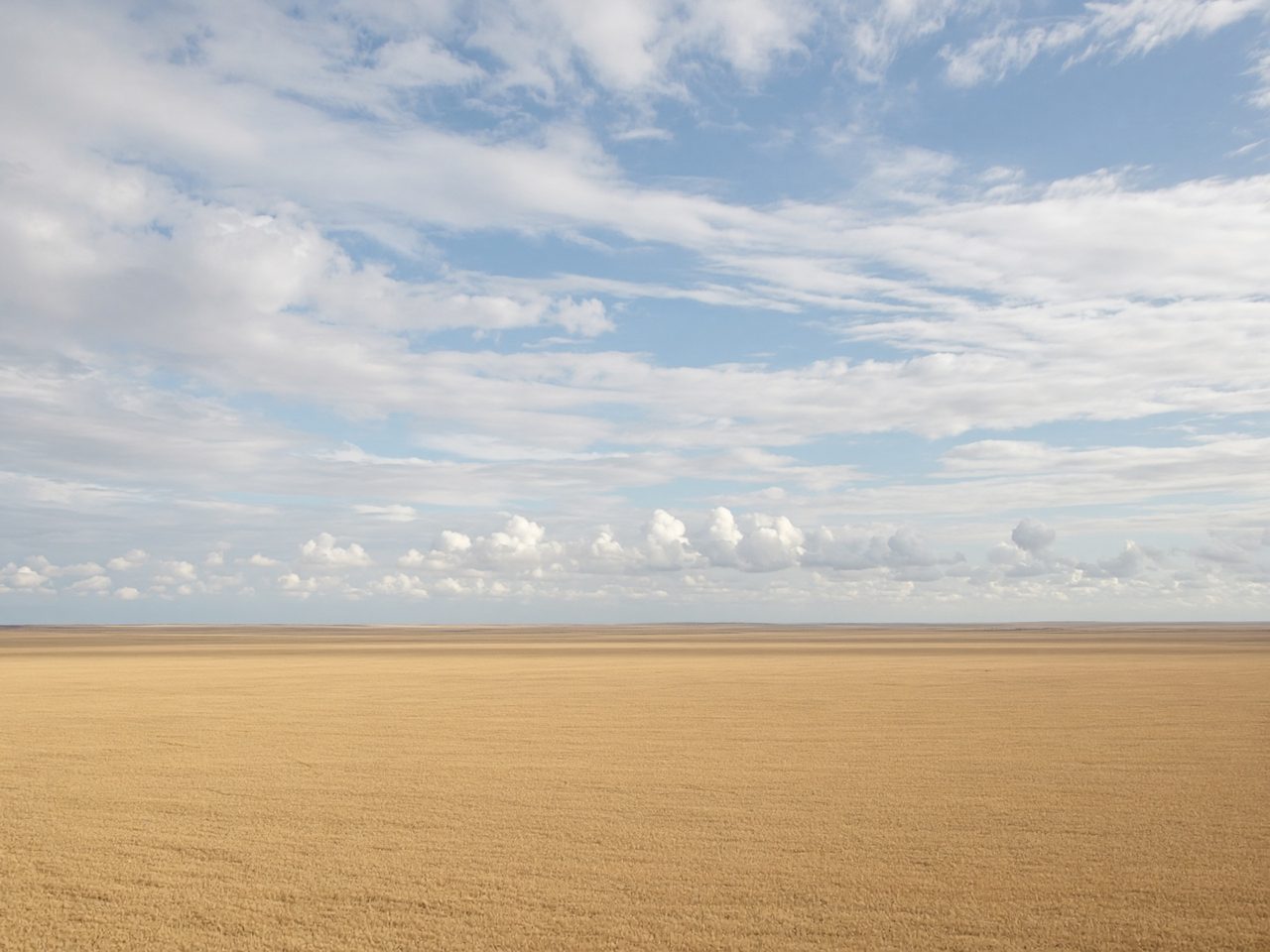 Not like that: a distant landscape, soil surface not visible.