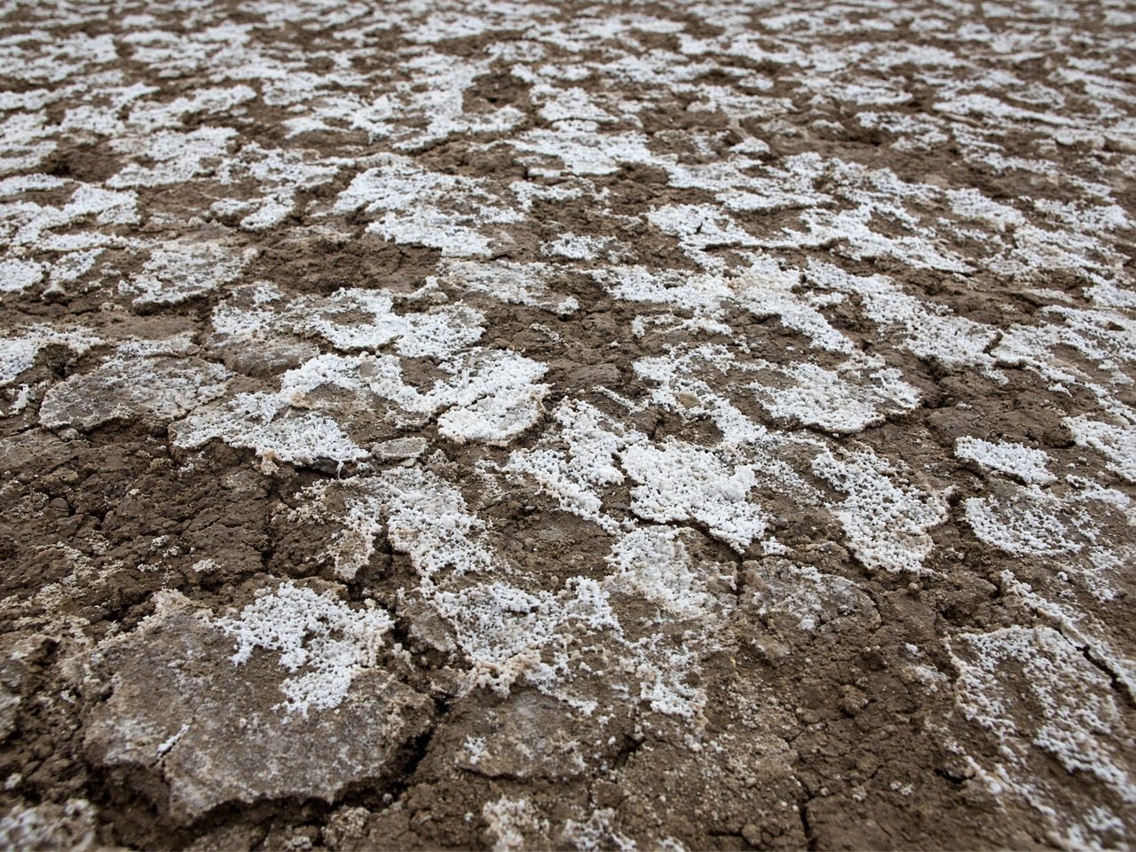 Shoot it like this: white crust, cap or standing water — keep them sharp.