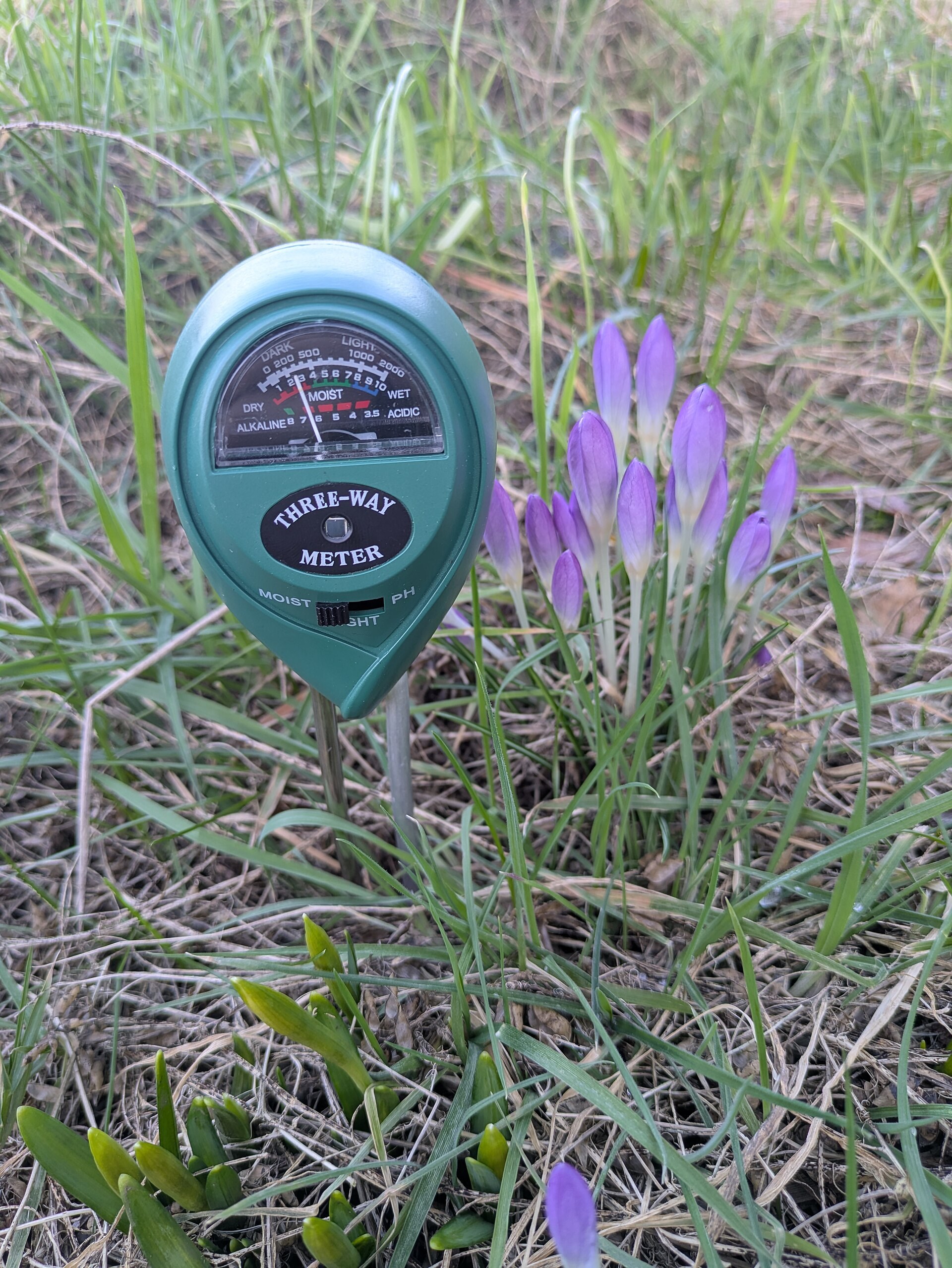 pH（酸碱度） 田间对照